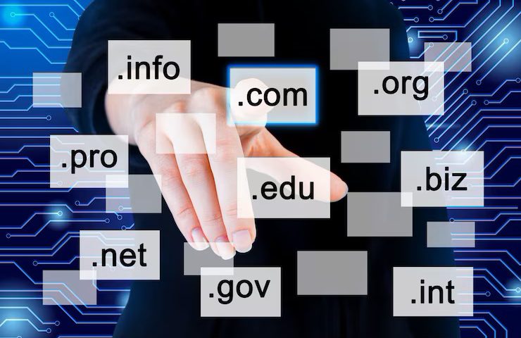 domain names